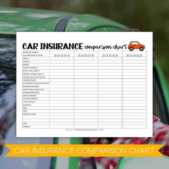 Car Insurance Comparison Chart